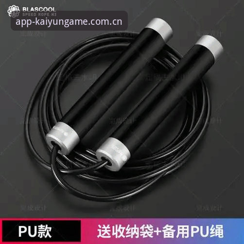 凯运体育官网深度评测：数据查询功能实战体验与高效操作指南