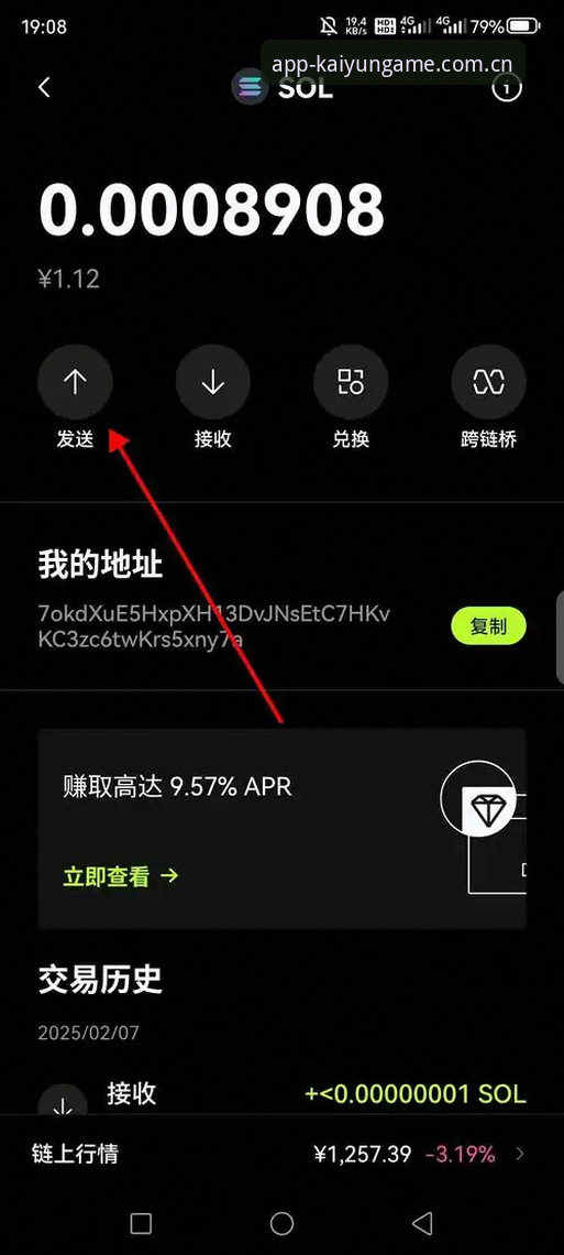 凯运下载安装教程：从官网到APP使用的完整指南
